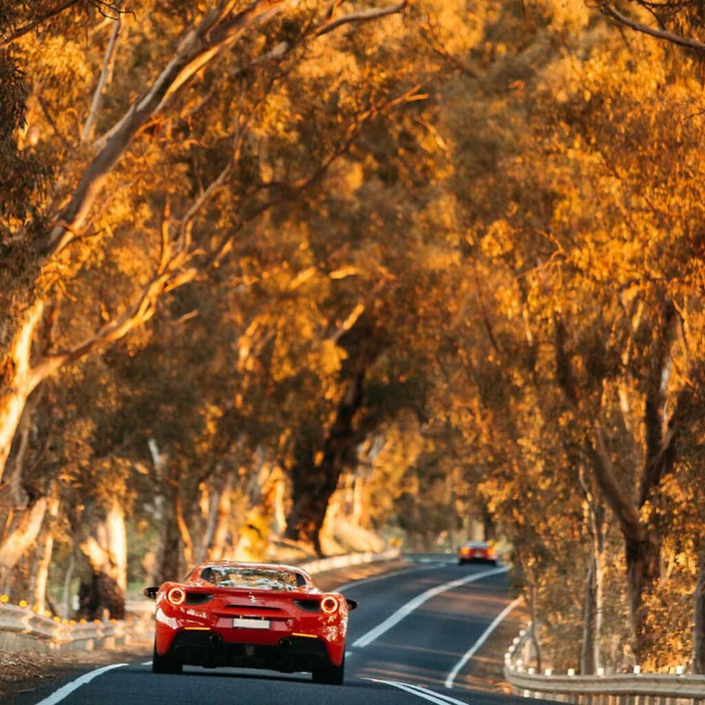 Luxury Driving Experience