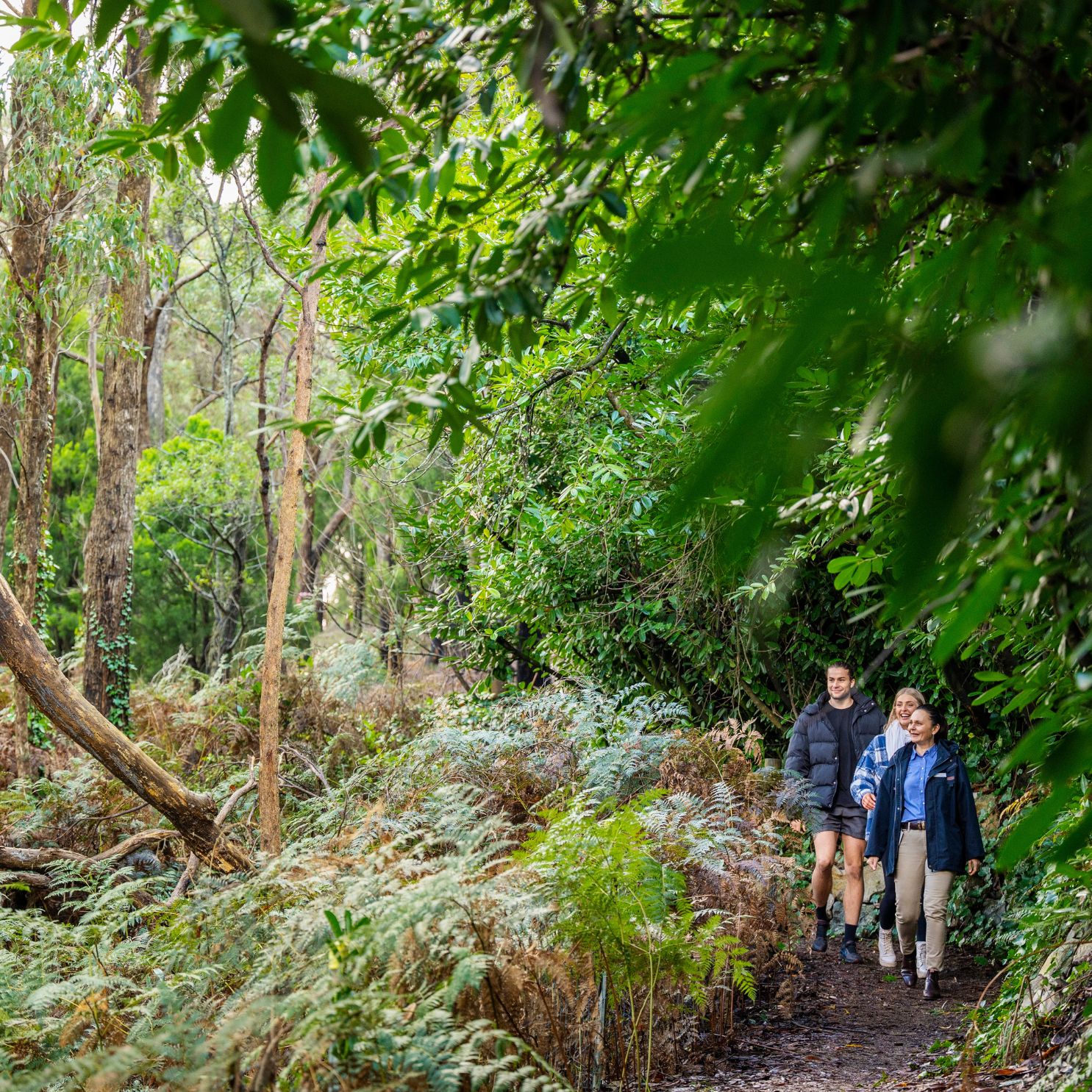 Guided Nature walks