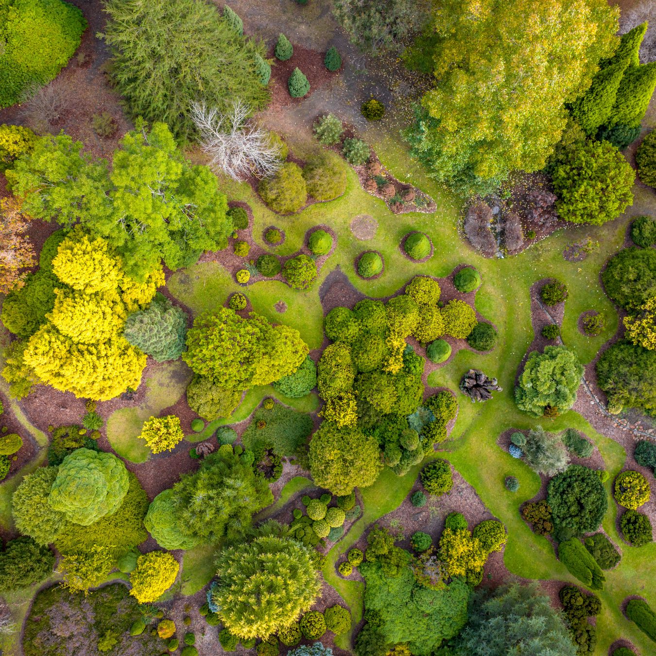 Mount Lofty Botanic Gardens