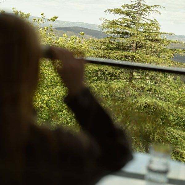 bird-watching-sequioa-lodge-adelaide-hills