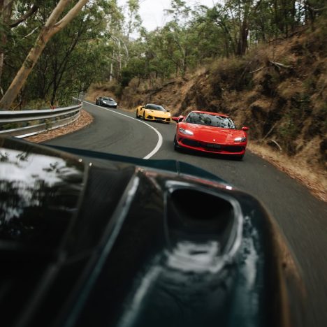 prancing horse 15