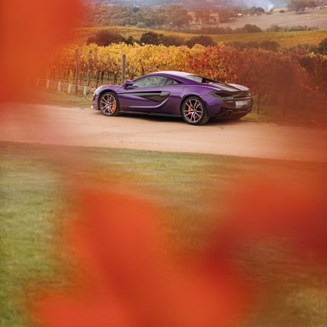 prancing horse 21