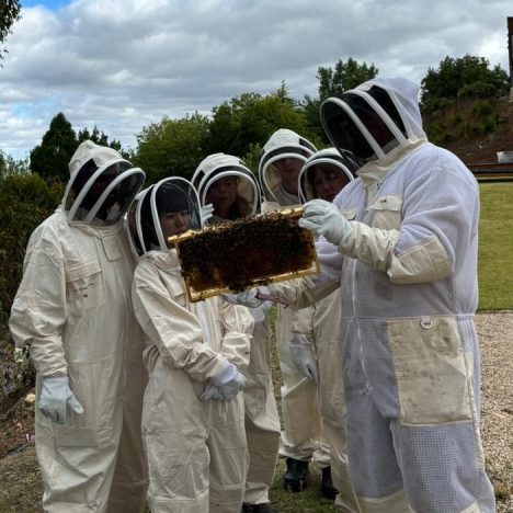 sequoia-lodge-adelaide-hills-accommodation-bee-experience-3